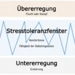 Wie kann ich ein Trauma von Hochsensibilität unterscheiden? Grafik Übererregung-Untererregung